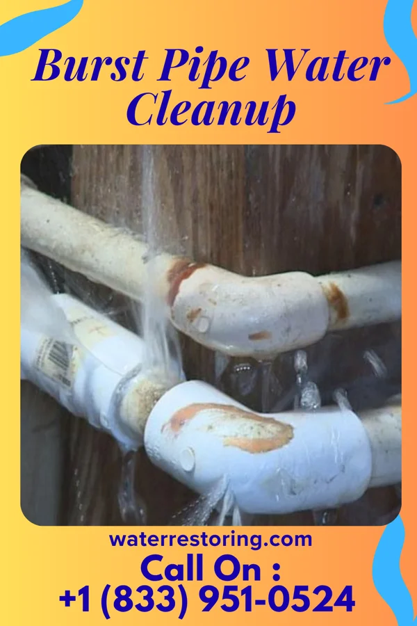 Burst Pipe Water Cleanup in Ellenboro, NC