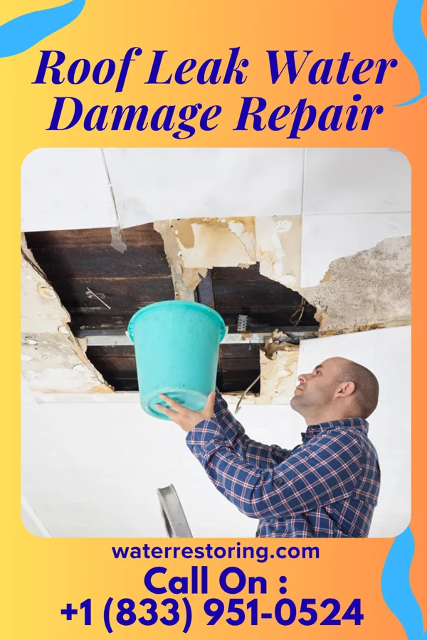 Roof Leak Water Damage Repair in Ellenboro, NC